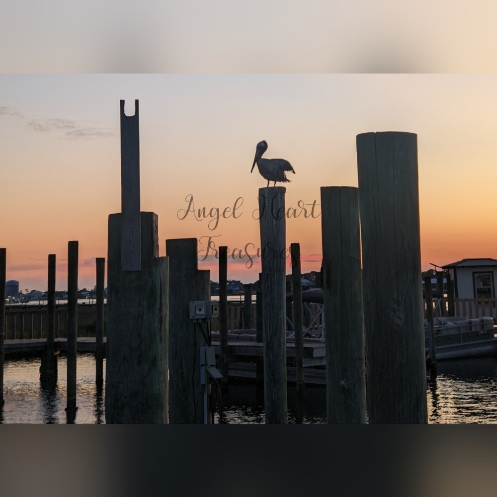 5x7 Original Photography Of Pelican Silhouette On Alabama Dock At Sunset